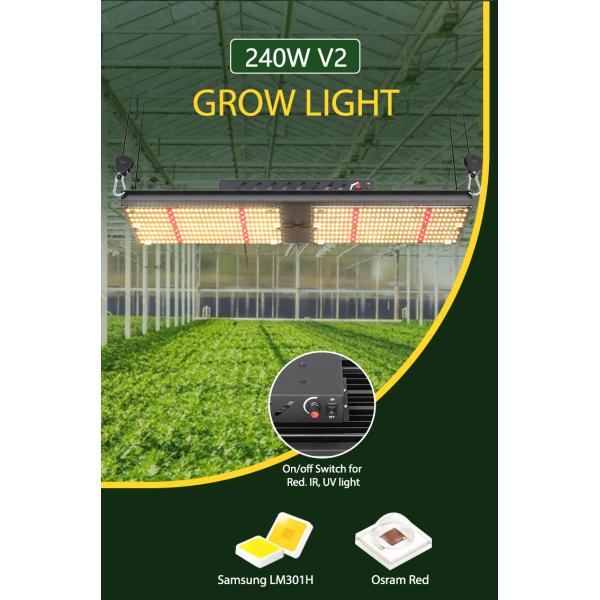 RoSH 660nm Led Grow Light Clone Plant 624 Umol/S 240W LM301H 3500k
