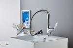 Pull Out Basin New Design Faucets