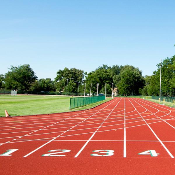 Quality Sandwich System Running Track 13mm Synthesis Rubber Track Material for sale