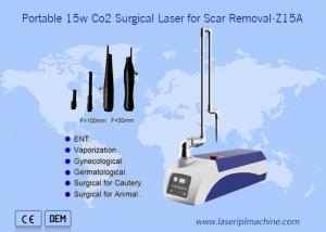 China Portable 10600nm CO2 Surgical Laser Skin Scar Removal Machine For Pets on sale