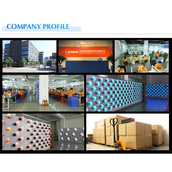 12V 3D Spinning LED Hologram Aluminum Material SD Card Content Upload For Advertising