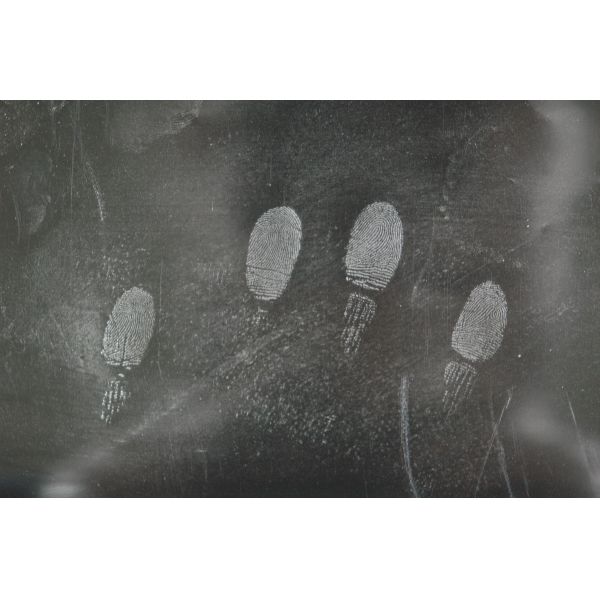 C071 Silver metallic fingerprint powder