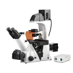 Wholesale Trinocular Inverted Biological Microscope Epi Fluorescence Biological Phase Contrast Microscope from china suppliers