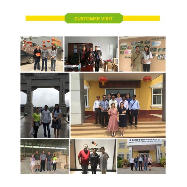 Weighing 360Bottles/H Honey Bottle Filling Machine 220V