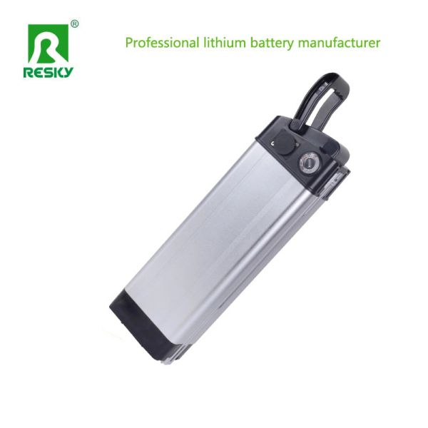 Silverfish Lithium Battery 48V 15.6ah 500W Storage Li-Ion 18650 Battery Pack For Electric Bicycle