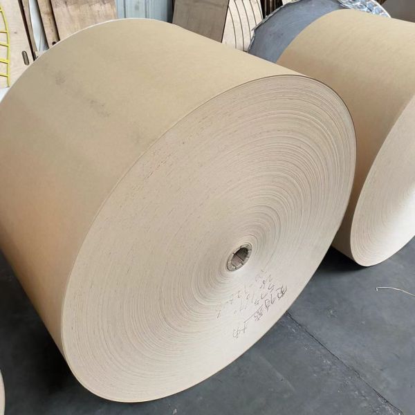 Single PE Coated Paper Cup Roll 320gsm White Kraft Waterproof