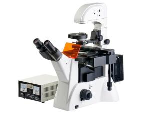 Wholesale Wide Field Eyepiece Inverted Fluorescent Microscope 40X With UIS Optical System Phase from china suppliers