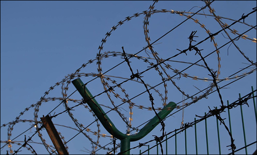 High Quality Hot Dipped Galvanized Barbed Wire Barbed Wire Price Per Roll / Galvanized Barbed Wire