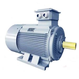 Wholesale 2 Poles 4 Poles 6 Poles 8 Poles IPMSM Motor 3 Phase Low Speed AC Motor from china suppliers