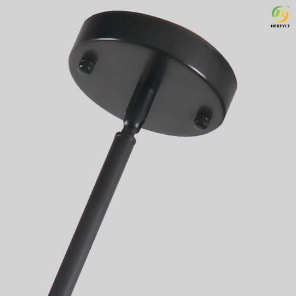 Fashionable Atmosphere Modern Pendant Light incandescent Without Bulb