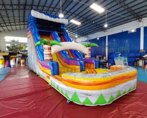 China Adult Outdoor Inflatable Water Slides Palm Tree Jumping Bouncy Castle on sale