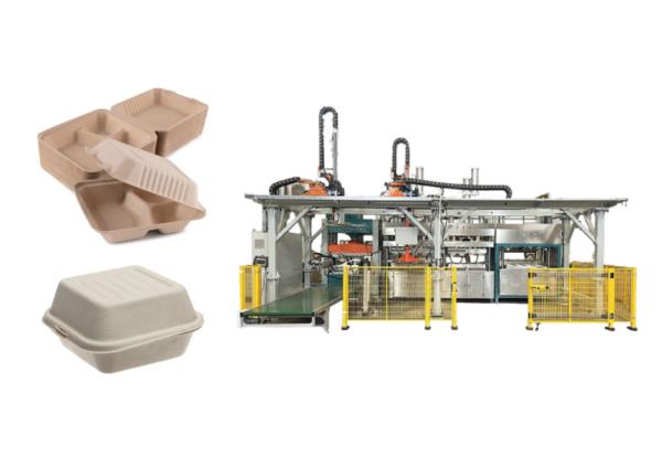 Quality Wood Pulp Burger Container Making Machine With Trimming And Stacking Robot for sale