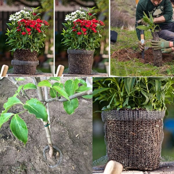 Gopher Root Guard Wire Gopher Baskets For Trees Sample Avaliable