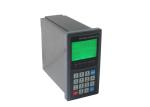 Standard Modbus Batch Weighing Controller With Ration Flow Feeding Control