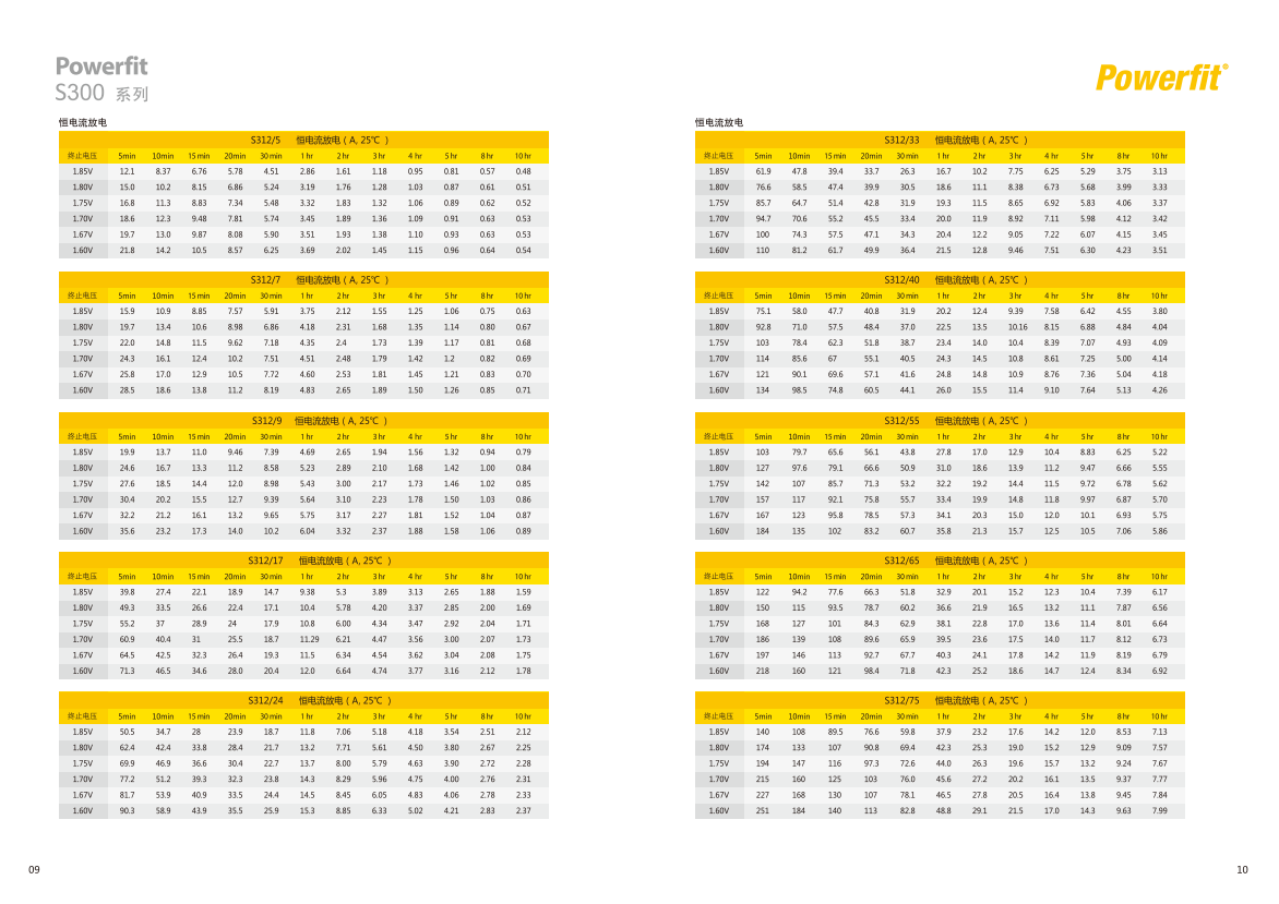 S312-200 Lead-acid Battery 1000 Wh Electric Energy for Uninterruptible Power Supplies by GNB Battery