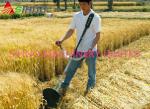 Now Small Multi-Purpose Lawn Rice Harvester,