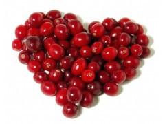 Wholesale cranberry fruit extract free sample Anthocyanidins 25% UV --Vaccinium Macrocarpon L from china suppliers
