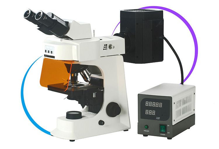 Precision Light Split Fixed A16.2601 Fluorescence Microscope Binocular / Trinocular