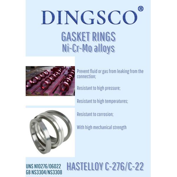 Hastelloy C-276 C-22 Metal Gasket Ring Metal Washer Mechanical Sealing