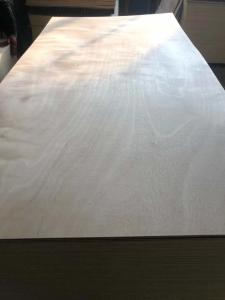 Wholesale 18mm Okoume Commercial Plywood Sheets/Bintangor Veneer Fancy plywood from china suppliers