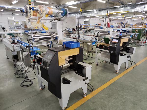 Quality Automatic Hffs Horizontal Flow Wrapping Machine WZ220 For Packaging Sandwich Biscuits for sale
