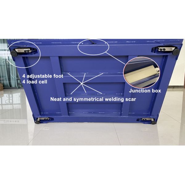 Customized Color Livestock Weighing Scales for Farm Electronic Floor Animal Scale 300kg Capacity