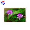 Buy cheap 10.1 Inch LVDS Interface 40 Pin TFT LCD Display 1280x800 from wholesalers