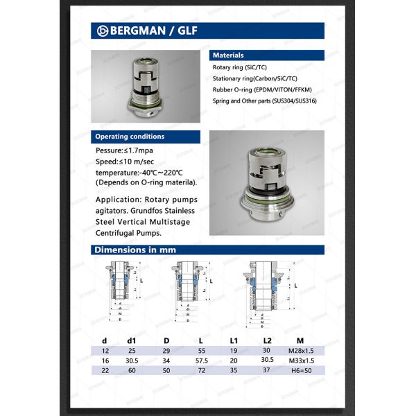 BERGMAN Replace Wilo EMU Pump Seal 35mm 50mm 75mm Sewage Pump Mechanical Seal Container