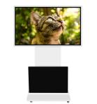 Floor Standing / Wall Mounted LCD Signage Display 43 Touch Screen Kiosk