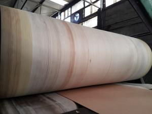 China Aramid Edge Corrugator Belt High Durability For BHS , FOSBER , MARQUIP Corrugated Line on sale