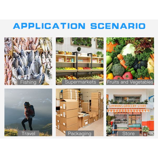 LCD Display Hanging Scale Mini Digital Hand Carbon Steel Digital Balance Fish Scale for Fishing Luggage