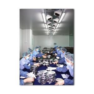 ANHUI LONGSTAR IMPORT AND EXPORT CO.,LTD