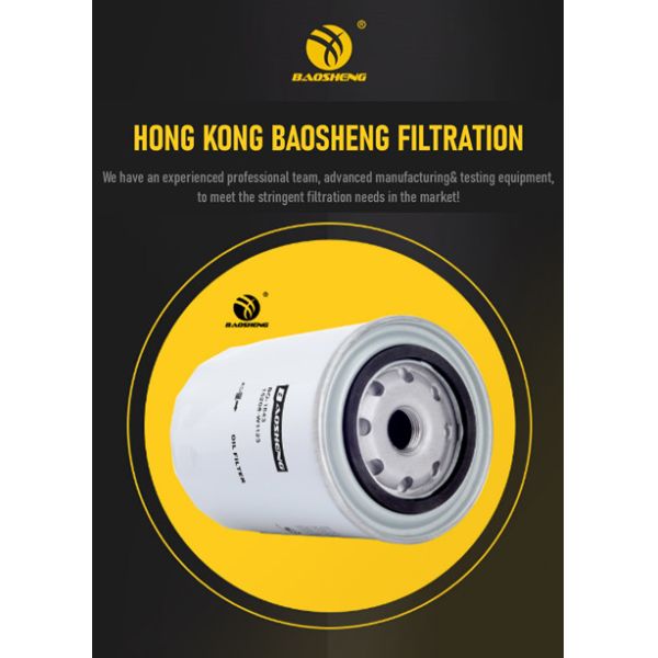 Diesel Excavator Oil Filter 898075676 5208-W3401