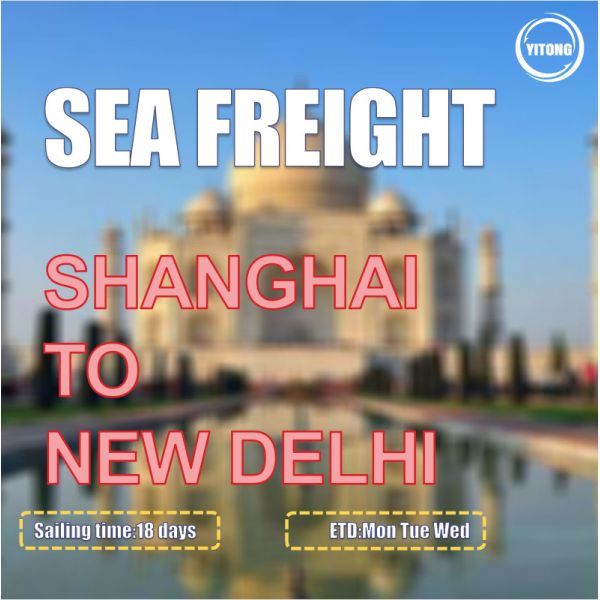 Fast Sailing 18 Days International Sea Freight From Shanghai To New Delhi India