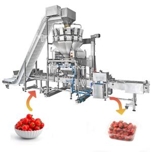Wholesale Adjustable Platform Automatic Filling Machine 110BPM Tomato Weighing And Boxing Cartoning System from china suppliers