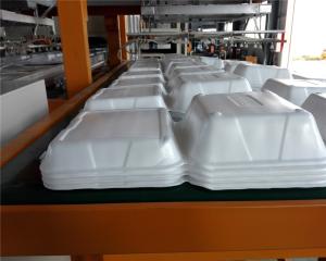 Wholesale Disposable Absorbent Styrofoam Tray Making Machine With Robort Arm from china suppliers