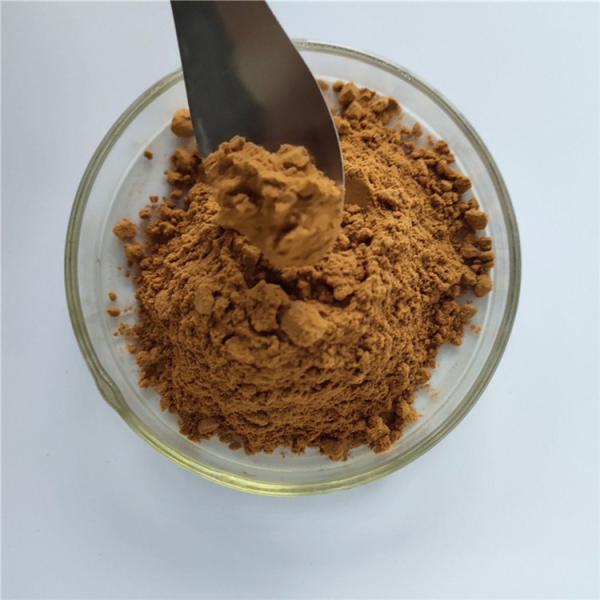 Quality Persimmon Leaf Extract For Stimulate Appetite for sale