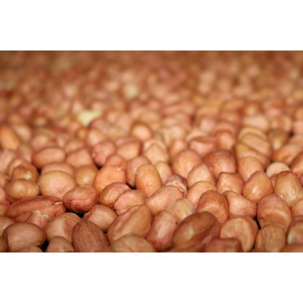 Original Materials Peanuts Raw Nuts Hard Texture Crispy Taste Good For Stomach