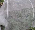 Agriculture Shading Net Raschel Machine , Computerized Shade Sail Machine