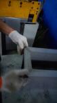 3 Three Phase Transformer Core Wound Core For Distribution 2500kVA