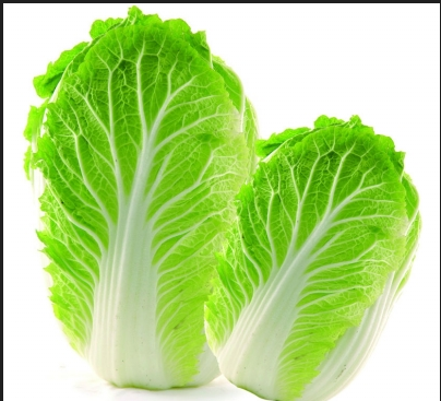 Fruit And Vegetable Bubble Cleaning Machine , Chinese Cabbage Washing Machine