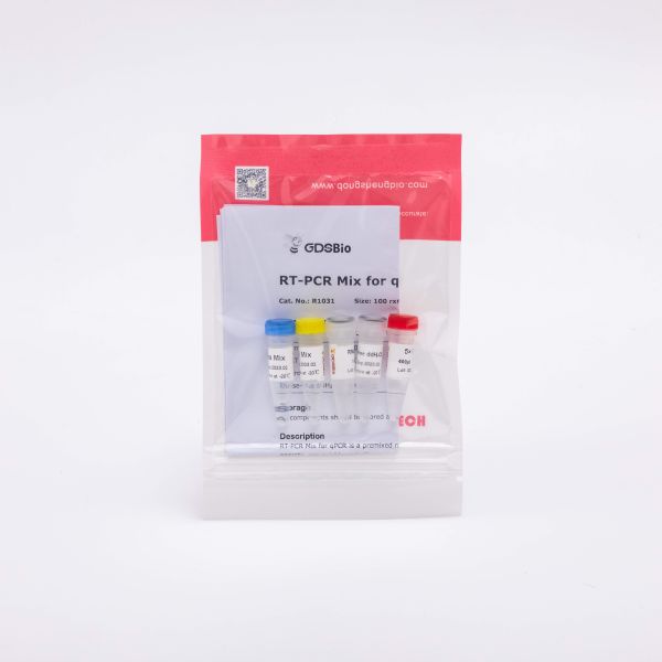 RT PCR Mix For QPCR Premixed Reverse Transcriptase PCR Reagents R1031