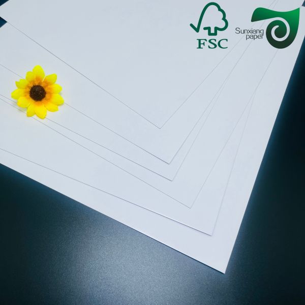 FSC Certified Recyclable White C2S Coated Paper 300gsm 350gsm Highly Polished