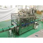Complete Pineapple And Mango Juice Processing Line Automatic