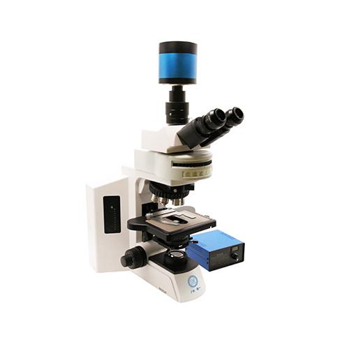 Quality Upright Fluorescent Biological Microscope B60F for sale