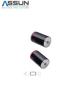 China 4070rpm 25mm Coreless Brushed Motor 24V Servo Motor Electric Energy on sale