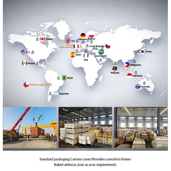 Weichai Sdlg Car Engine Spares Cylinder Head Gasket 612600040355 4110000556155 For Faw Deutz YUCHAI