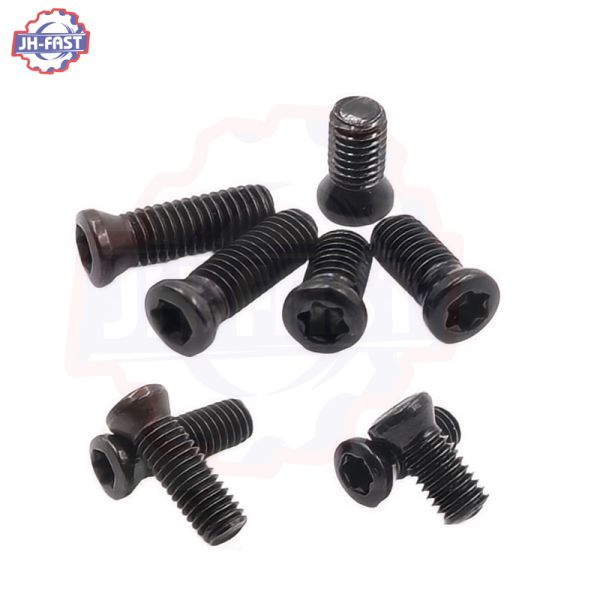 T5 T6 T8 T20 T25 Torx Screws for Custom CNC Stainless Steel Flat Mushroom Pan Head Cap