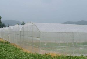 Wholesale Waste Disposal Insect Mesh Netting Easywash 0.8 * 0.8mm For Horizontal Shed from china suppliers