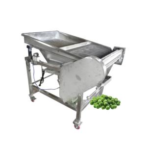 China China Manufacturer Green Soybean Peeler / Edamame Peeler / Wet Soybean Peeling Machine on sale